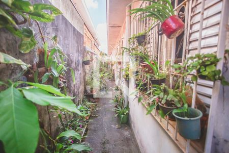 Casa à venda com 200m², 4 quartos e 4 vagasCorredor Lateral