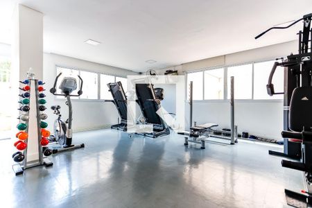 Apartamento à venda com 70m², 3 quartos e 1 vaga Apartamento à venda com 70m², 3 quartos e 1 vagaÁrea comum - Academia