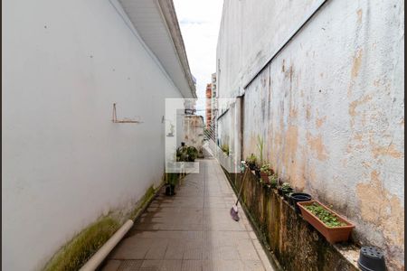 Casa à venda com 230m², 3 quartos e sem vaga Casa à venda com 230m², 3 quartos e sem vagaCorredor Lateral