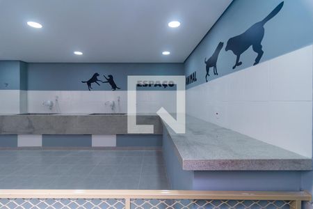Apartamento para alugar com 37m², 2 quartos e sem vaga Apartamento para alugar com 37m², 2 quartos e sem vagaEspaço Pet