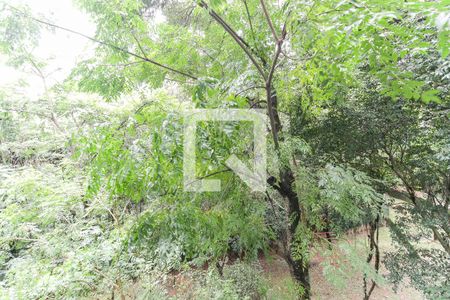 Vista do Quarto 1 de apartamento para alugar com 2 quartos, 40m² em Colônia (zona Leste), São Paulo