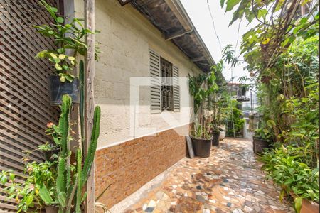 Casa à venda com 190m², 2 quartos e 1 vaga Casa à venda com 190m², 2 quartos e 1 vagaQuintal