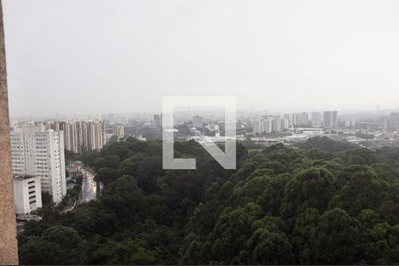 Apartamento para alugar com 49m², 2 quartos e 1 vagaDetalhe - Vista do Quarto 01