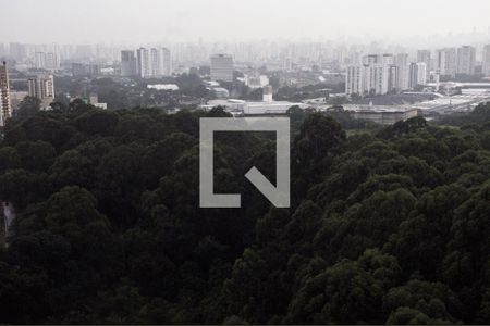 Apartamento para alugar com 49m², 2 quartos e 1 vagaDetalhe - Vista da Área de Serviço