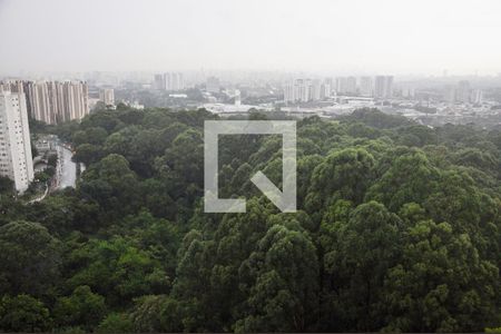 Apartamento para alugar com 49m², 2 quartos e 1 vagaDetalhe - Vista do Quarto 02