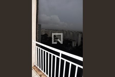 Detalhe - Varanda da Sala de apartamento para alugar com 2 quartos, 49m² em Jardim Iris, São Paulo