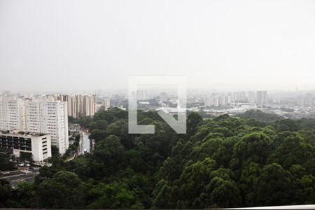 Detalhe - Vista da Varanda da Sala de apartamento para alugar com 2 quartos, 49m² em Jardim Iris, São Paulo