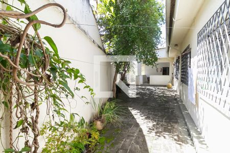 Casa à venda com 339m², 3 quartos e 8 vagas Casa à venda com 339m², 3 quartos e 8 vagasQuintal