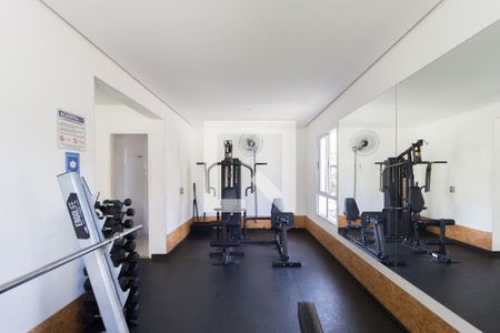 Apartamento para alugar com 74m², 3 quartos e 2 vagasaca