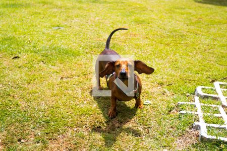 Apartamento para alugar com 27m², 1 quarto e sem vagaÁrea comum - Playground