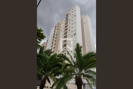 Apartamento à venda com 70m², 3 quartos e 2 vagasFACHADA DA TORRE