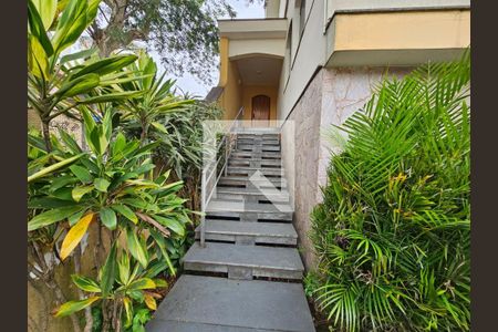 Casa à venda com 316m², 4 quartos e 6 vagasFoto 49