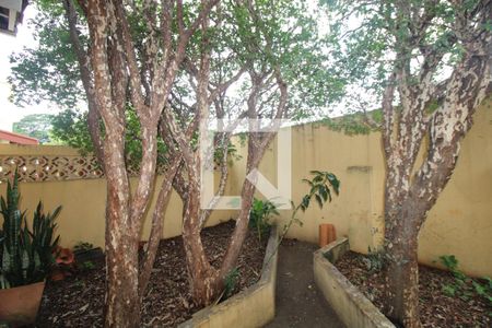 Casa para alugar com 150m², 3 quartos e 2 vagasQuintal