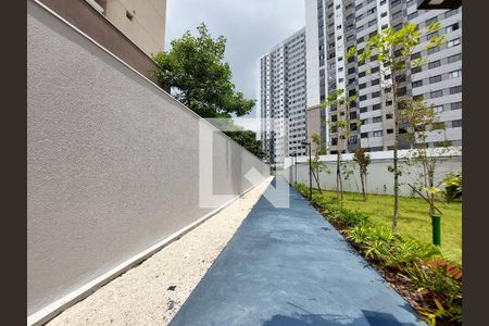 Apartamento para alugar com 46m², 2 quartos e 1 vaga Apartamento para alugar com 46m², 2 quartos e 1 vagaPista de Caminhada