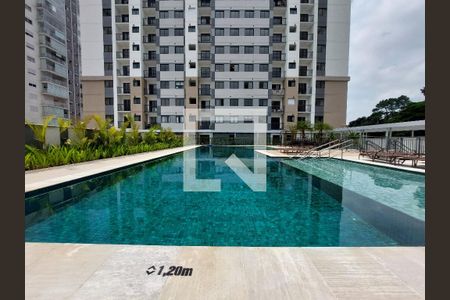 Apartamento para alugar com 46m², 2 quartos e 1 vaga Apartamento para alugar com 46m², 2 quartos e 1 vagaPiscina Adulto