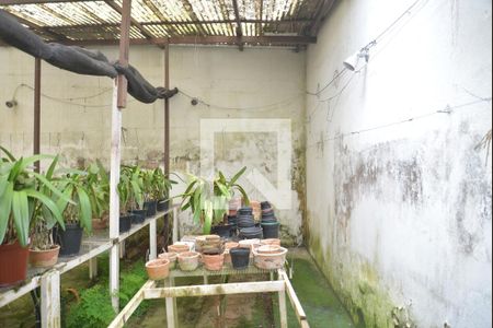 Casa à venda com 230m², 3 quartos e 3 vagasQuintal