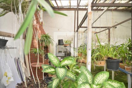 Casa à venda com 230m², 3 quartos e 3 vagasQuintal