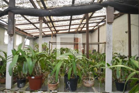 Casa à venda com 230m², 3 quartos e 3 vagasQuintal