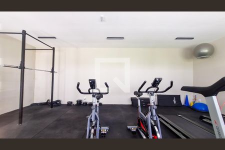 Apartamento à venda com 57m², 1 quarto e sem vagaÁrea comum - Academia