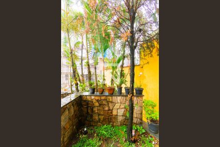 Jardim de Inverno de casa à venda com 4 quartos, 250m² em Vila Prudente, São Paulo