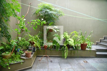 Casa à venda com 252m², 3 quartos e 4 vagasQuintal/ Área de Convivência