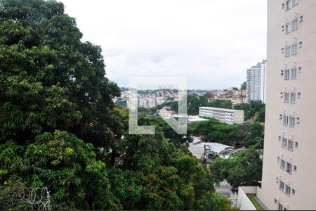 Casa à venda com 228m², 3 quartos e 5 vagas Vista do Suíte 3