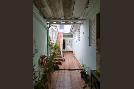 Casa à venda com 498m², 4 quartos e 2 vagasQuintal