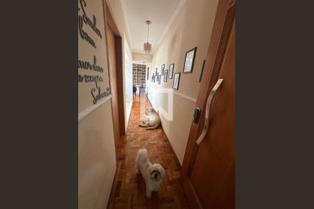Apartamento à venda com 110m², 3 quartos e 1 vaga Apartamento à venda com 110m², 3 quartos e 1 vagaFoto 15
