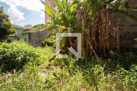 Casa à venda com 700m², 4 quartos e 3 vagasQuintal