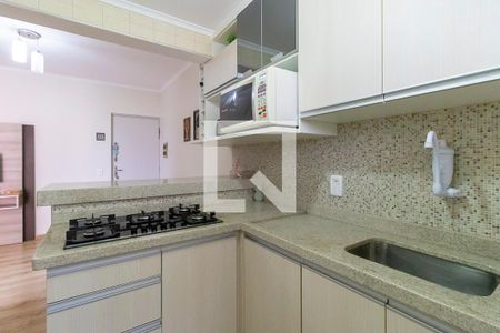 Cozinha de apartamento para alugar com 1 quarto, 55m² em Botafogo, Campinas