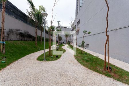 Apartamento à venda com 74m², 3 quartos e 1 vagaÁrea Comum - Pet Place