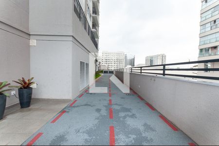 Apartamento à venda com 74m², 3 quartos e 1 vagaÁrea comum Pista Esportiva