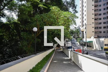 Apartamento à venda com 78m², 3 quartos e 1 vaga Apartamento à venda com 78m², 3 quartos e 1 vagaÁrea comum