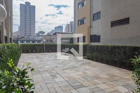 Área comum de apartamento para alugar com 3 quartos, 136m² em Cambuci, São Paulo