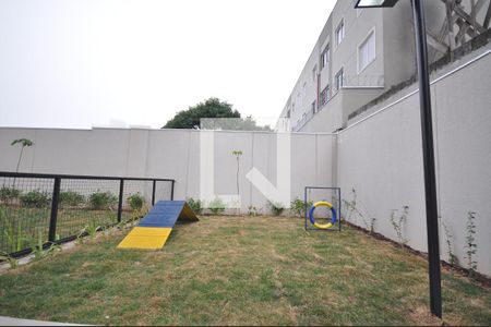 Apartamento para alugar com 38m², 1 quarto e sem vagaPet Place