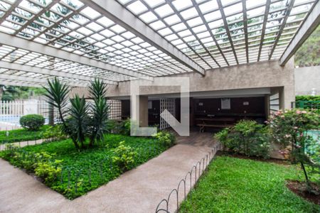 Apartamento para alugar com 67m², 2 quartos e 1 vaga Apartamento para alugar com 67m², 2 quartos e 1 vagaÁrea gourmet