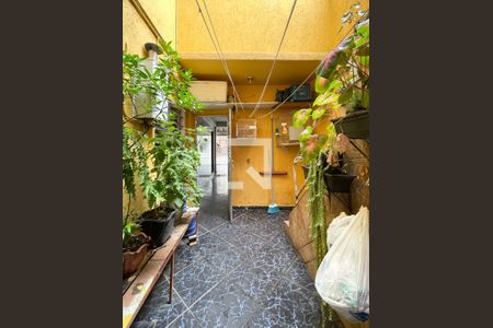 Casa à venda com 279m², 4 quartos e 2 vagas Casa à venda com 279m², 4 quartos e 2 vagasQuintal