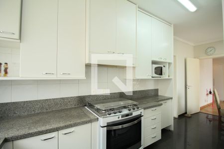 Apartamento à venda com 262m², 4 quartos e 4 vagas Apartamento à venda com 262m², 4 quartos e 4 vagasCozinha - Armários