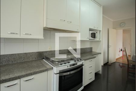 Apartamento à venda com 262m², 4 quartos e 4 vagas Apartamento à venda com 262m², 4 quartos e 4 vagasCozinha - Armários