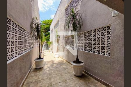 Apartamento à venda com 66m², 2 quartos e 1 vaga Apartamento à venda com 66m², 2 quartos e 1 vagaFachada e portaria