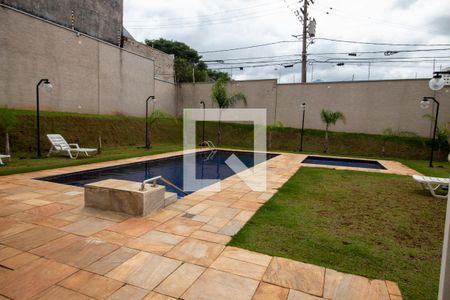 Área comum - Piscina de apartamento para alugar com 2 quartos, 43m² em Parque Pinheiros, São Paulo