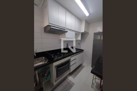 Cozinha - Armários de apartamento para alugar com 2 quartos, 45m² em Vila Vermelha, São Paulo