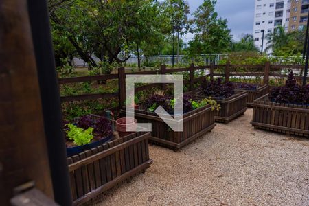 Apartamento à venda com 72m², 3 quartos e 1 vagaÁrea comum - Horta