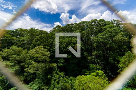 Quarto 1 - Vista de apartamento à venda com 2 quartos, 50m² em Vila Suzana, São Paulo