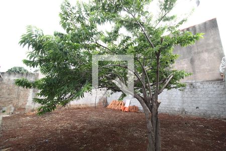 Casa para alugar com 160m², 3 quartos e 4 vagasQuintal