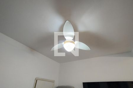 Studio de kitnet/studio para alugar com 1 quarto, 19m² em Boqueirão, Praia Grande