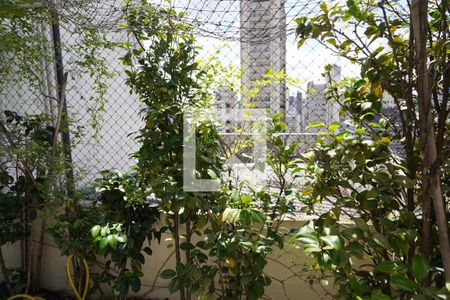 Apartamento à venda com 578m², 5 quartos e 2 vagasÁrea Externa