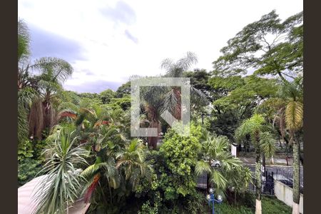 Apartamento para alugar com 191m², 3 quartos e 1 vaga Apartamento para alugar com 191m², 3 quartos e 1 vagaVista do Quarto 2