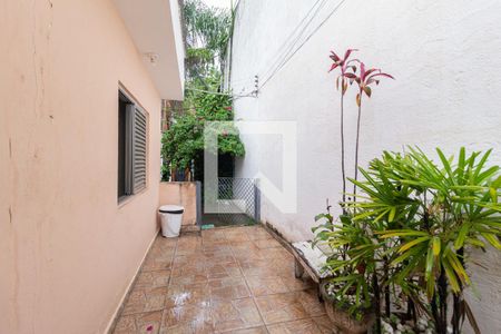 Casa à venda com 505m², 5 quartos e 4 vagas Casa à venda com 505m², 5 quartos e 4 vagasQuintal