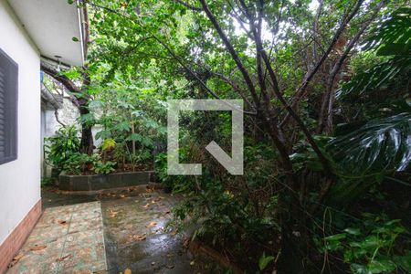 Casa à venda com 505m², 5 quartos e 4 vagas Casa à venda com 505m², 5 quartos e 4 vagasQuintal